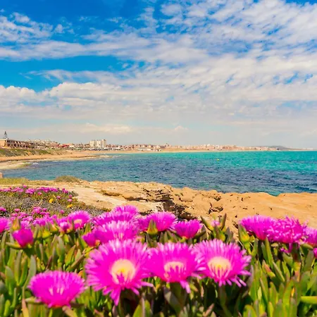 Apartment Zeus Id142 Torrevieja