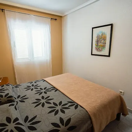 Zeus Id142 Torrevieja